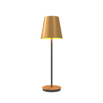 Conical One Light Table Lamp in Organic Gold (486|708849)