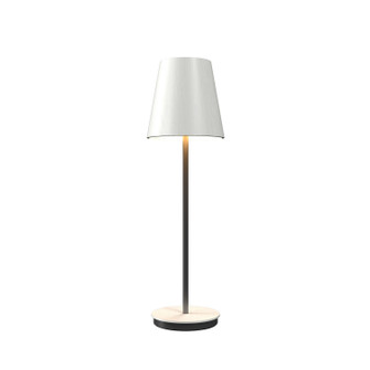 Conical One Light Table Lamp in Organic White (486|708847)
