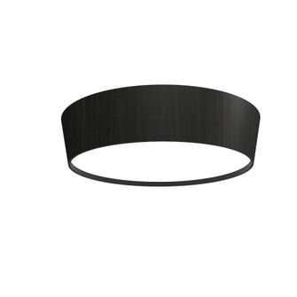 Conical LED Ceiling Mount in Organic Black (486|585LED46)