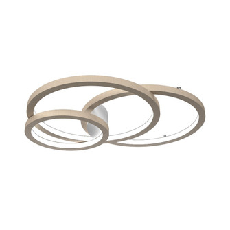 Frame LED Ceiling Mount in Organic Cappuccino (486|5084LED48)