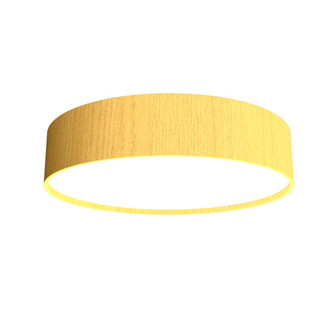 Cylindrical LED Ceiling Mount in Organic Gold (486|504LED49)