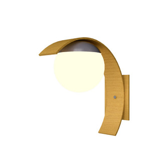 Sfera One Light Wall Lamp in Organic Gold (486|41649)