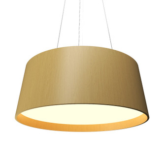 Conical LED Pendant in Organic Gold (486|296LED49)