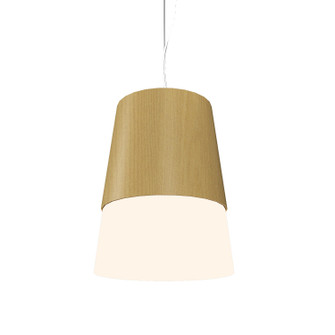 Conical LED Pendant in Organic Gold (486|264LED49)