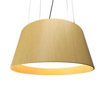 Conical LED Pendant in Organic Gold (486|258LED49)