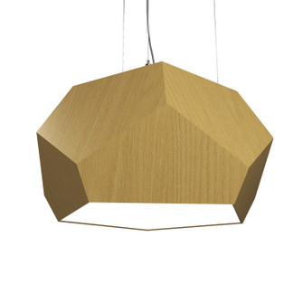 Facet Two Light Pendant in Organic Gold (486|122649)