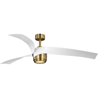 Insigna 60'' Ceiling Fan in Vintage Brass (54|P25011216330)