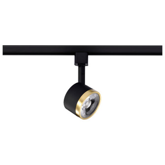 LED Track Head in Matte Black / Brushed Brass (72|TH635) LED Track Head in Matte Black / Brushed Brass (72|TH635)
