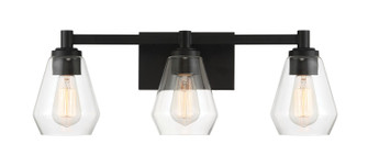 Clarity Three Light Bath Vanity in Coal (7|570366A)