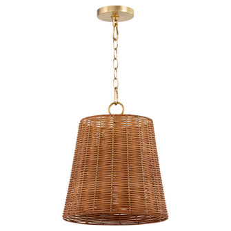 Wicker Three Light Pendant in Aged Brass (19|88931380)