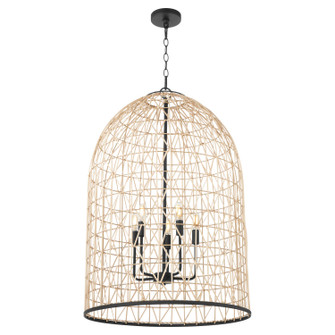 Rattan Five Light Pendant in Matte Black (19|6902559)