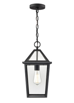 Eston One Light Outdoor Hanging Lantern in Textured Black (59|91401TBK)