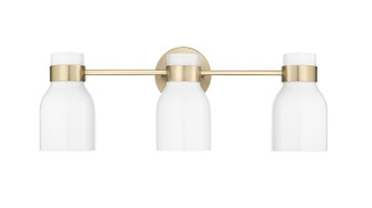 Corella Three Light Vanity in Modern Gold (59|23003MG)