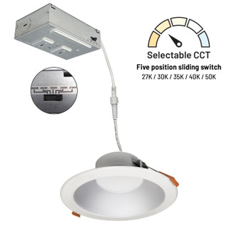 LED Theia LED Downlight in Haze / Matte Powder White (167|NLTH61TWHZMPW)