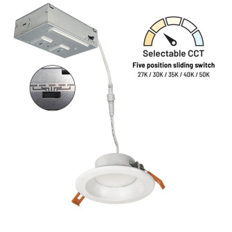 LED Theia LED Downlight in Haze / Matte Powder White (167|NLTH41TWHZMPWLE4)