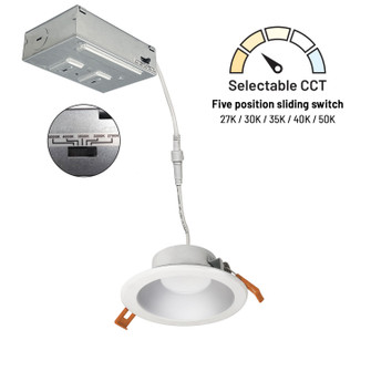 LED Theia LED Downlight in Haze / Matte Powder White (167|NLTH41TWHZMPW)