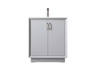 Hayes SIngle Bathroom Vanity in Grey (173|VF19630GR)