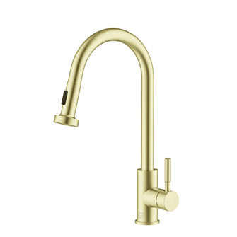 Sem Kitchen Faucet in Brushed Gold (173|FAK309BGD)