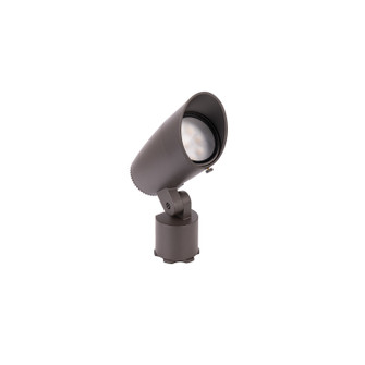 Colorscaping LED Landscape Accent Light in Bronze on Brass (34|5812CSBBR)