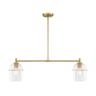 Summer Jazz Two Light Island Pendant in Brushed Gold (43|D310MISBG)