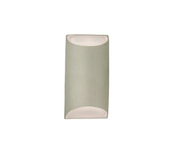 Ambiance LED Outdoor Wall Sconce in Celadon Green Crackle (102|CER5750WCKC)