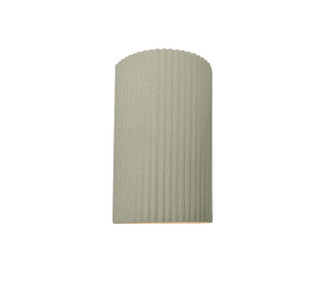 Ambiance LED Outdoor Wall Sconce in Celadon Green Crackle (102|CER5740WCKC)