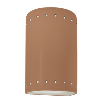 Ambiance One Light Outdoor Wall Sconce in Adobe (102|CER0990WADOB)