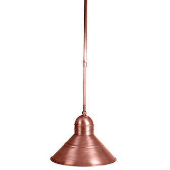 Barn One Light Hanging Lantern (196|3442ACMEDAP10)