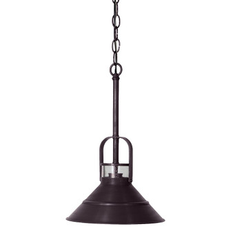 Barn One Light Hanging Lantern in Dark Brass (196|34202DBMEDCSG)