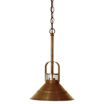 Barn One Light Hanging Lantern in Antique Brass (196|34202ABMEDCSG)