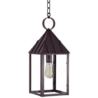 Winnicutt One Light Hanging Lantern in Dark Brass (196|11942DBMEDSMG)