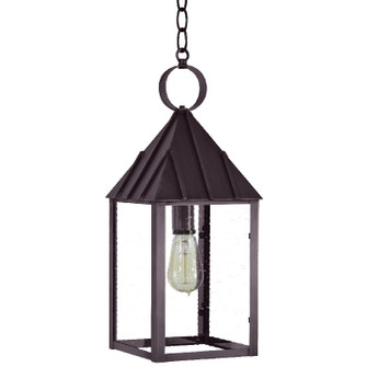 Winnicutt One Light Hanging Lantern in Dark Brass (196|11942DBMEDCSG)