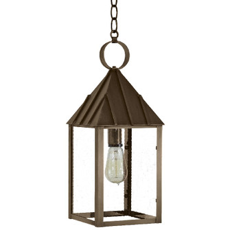 Winnicutt One Light Hanging Lantern in Dark Antique Brass (196|11942DABMEDSMG)
