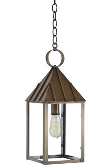 Winnicutt One Light Hanging Lantern (196|11942DABMEDCLR)