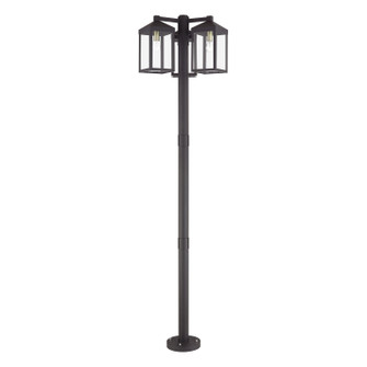 Nyack Three Head Outdoor Post Light in Bronze with Antique Brass (107|2059707)