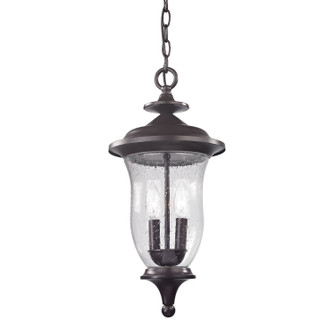 Trinity Two Light Outdoor Pendant in Oil Rubbed Bronze (45|8002EH75)