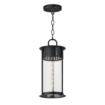 Windsor One Light Outdoor Pendant in Black Patina (16|30636CDBKP)
