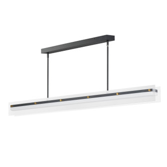 Spectre LED Linear Pendant in Black / Natural Aged Brass (16|21195CRBKNAB)