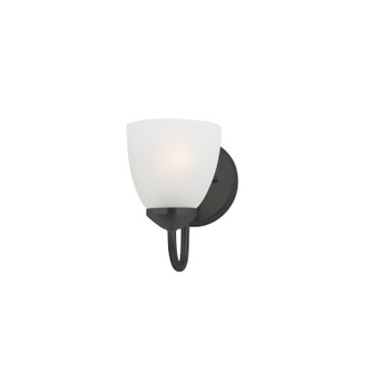 Axis One Light Bath Vanity in Black (16|11381FTBK)