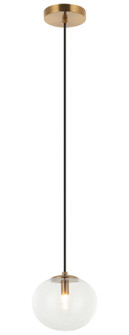 BULBUS One Light Pendant in Aged Gold Brass (423|C38101AG)