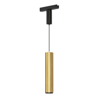 Continuum - Track LED Track Pendant in Natural Aged Brass (86|ETL31022NAB)