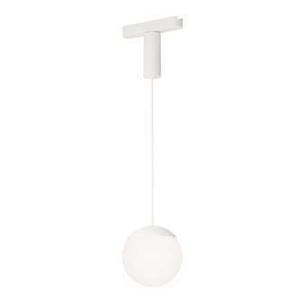 Continuum - Track LED Track Pendant in White (86|ETL31013WT)