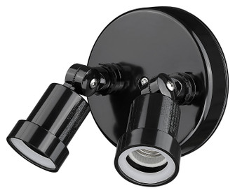 Floodlights Two Light Floodlight in Black (106|FL2BK)