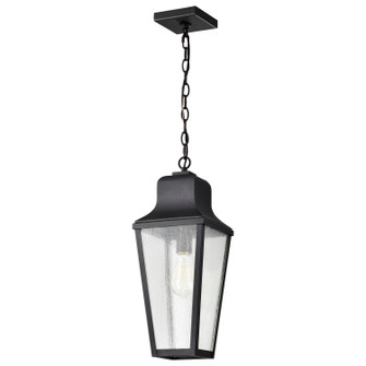 Lawrence One Light Hanging Lantern in Matte Black (72|608135)