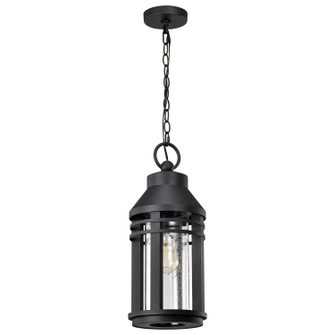 Wilton One Light Hanging Lantern in Matte Black (72|608104)