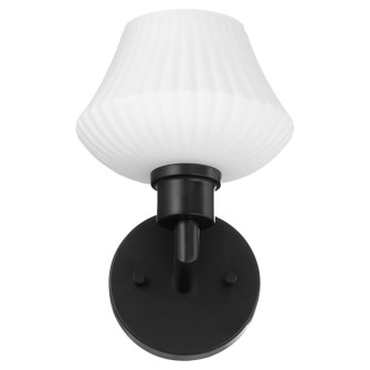 Cassini One Light Wall Mount in Matte Black (19|5221159)