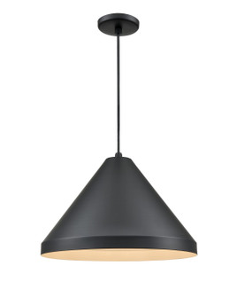 R Series One Light Pendant in Satin Black (59|RCC13SB)