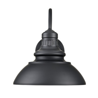 Adda LED Outdoor Lantern in Powder Coated Black (59|81101PBK)