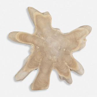 Terrains Wall Decor in Natural Bleached Blonde (52|04366)