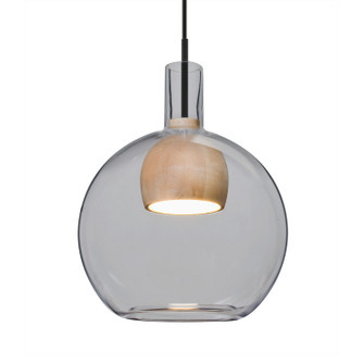 Besa Benji Pendant LED Pendant in Black (74|1JTBENJISMNALEDBK)